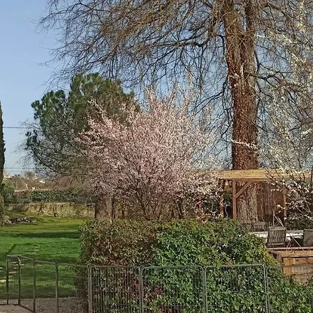 D'hotes Park Des Collines - Отель типа 