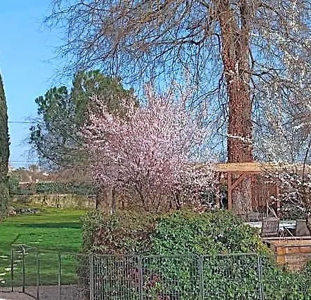 D'hotes Park Des Collines - Bed & Breakfast 3*